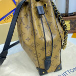 Louis Vuitton Noe Trunk PM M13324 Apricot